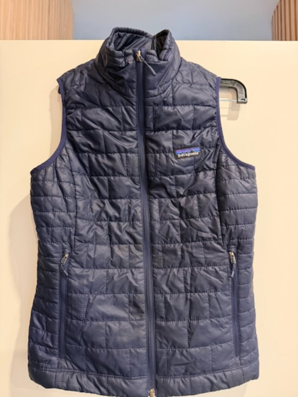 Patagonia Lightweight Down Vest
